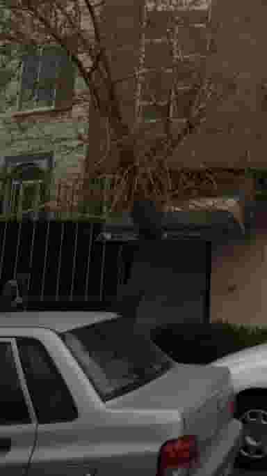 فروشگاه لوازم خانگی در خانی آباد نو 