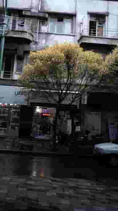 فروشگاه امیر(کن وود) در انقلاب 