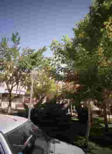 لوازم خانگی و کادویی بهار در هدایت مشهد