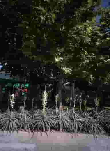 فروشگاه قطعات لوازم خانگی کوی امیرالمومنین مشهد