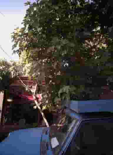 فروشگاه لوازم خانگی در شهید مطهری شمالی مشهد