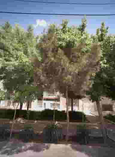 فروشگاه لوازم خانگی در محمد آباد مشهد