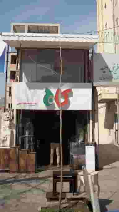 کاج در استخر سر ساری