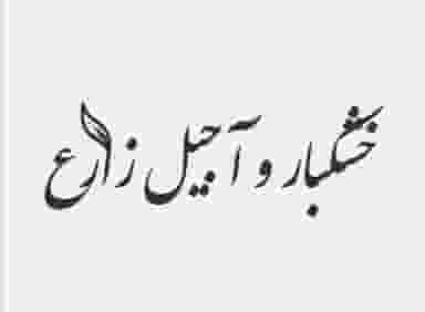 خشکبارو آجیل زارع در بارنج تبریز