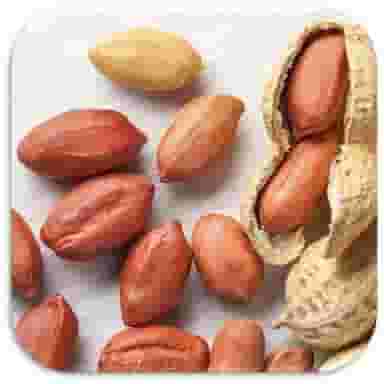 آجیل و خشکبار رنجبری شهرک طلائیه بندرعباس