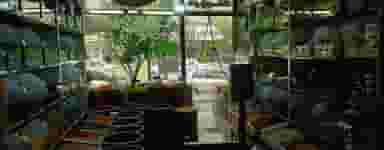 آجیل و خشکبار وناش در هادی آباد قزوین