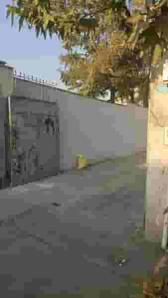 صافکاری احسان بخشی در اتحاد 