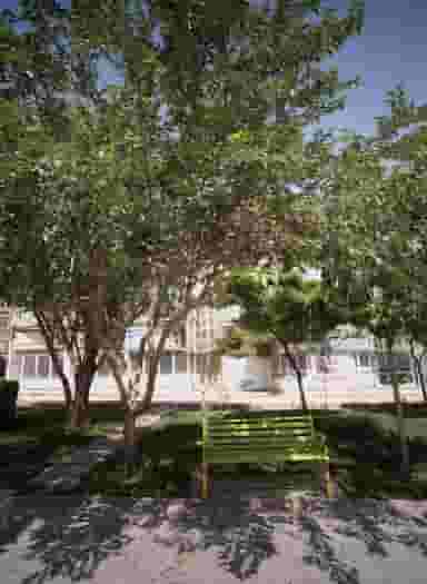 صافکاری در بهمن مشهد