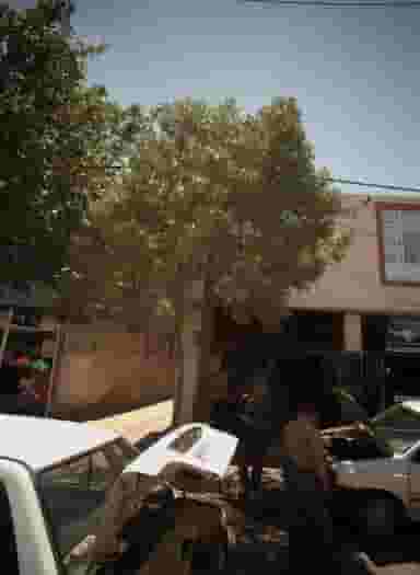 صافکاری اتومبیل اطمینان در شهید آوینی مشهد