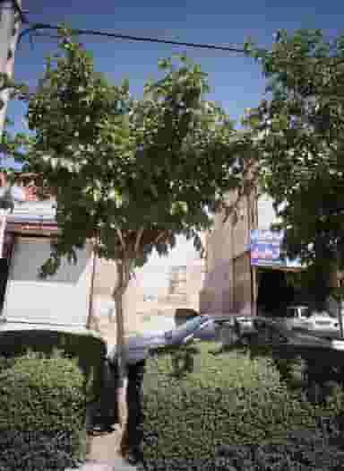 مکانیکی و خدمات برق اتومبیل در شهید قربانی مشهد