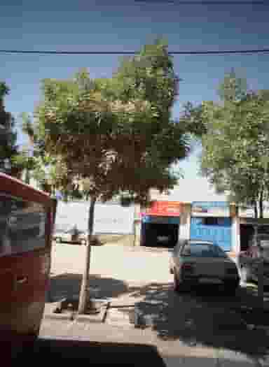 صافکاری و نقاشی خیام کوی امیرالمومنین مشهد