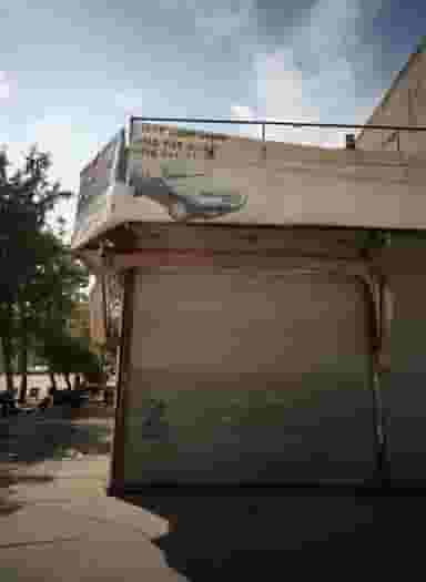 صافکاری صداقت در فلسطین مشهد