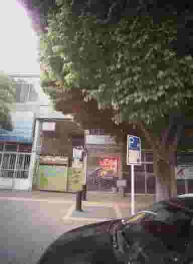 صافکاری نقاشی رضا در امام رضا مشهد