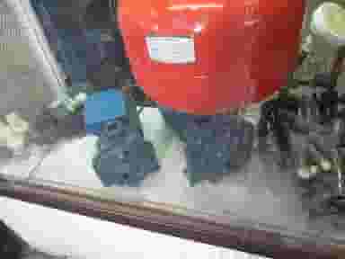 تعمیرگاه در گلستان کرمانشاه