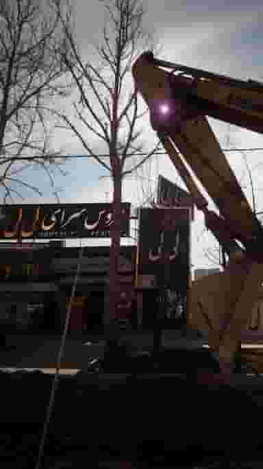 عروس سرای لی لی رودهن