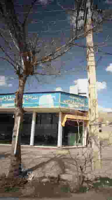 طباخی نمونه قوچ طلایی در گیلاوند دماوند