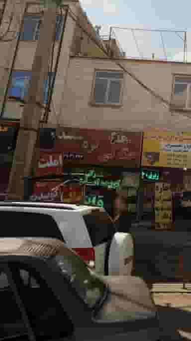 جگرکی بره سفید در گیلاوند دماوند