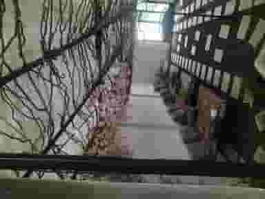 باغ رستوران آذربایجان در اصلاح ذر ورامین