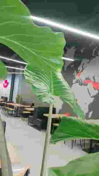 فست فود زنجيره ای عطاویچ شعبه‌ دماوند در جیلارد دماوند