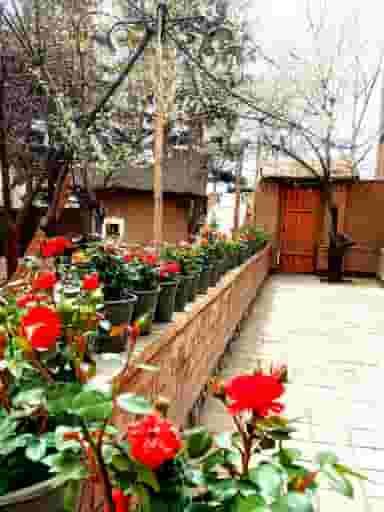 رستوران دیدنیها آبعلی