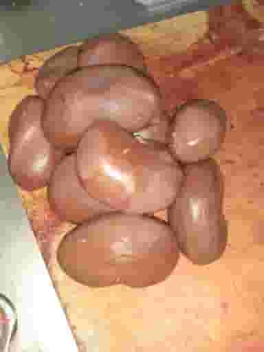 جگرسرا و دیزی سرای شمالی ریکا بومهن