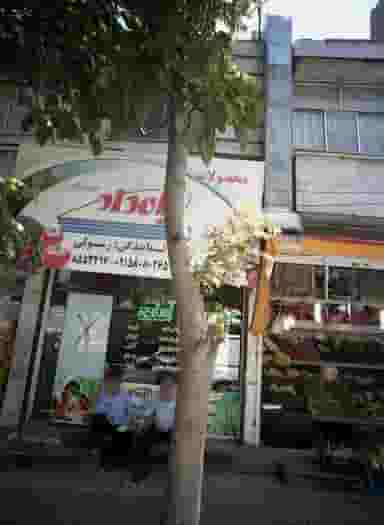محصولات بامداد در کوشش مشهد