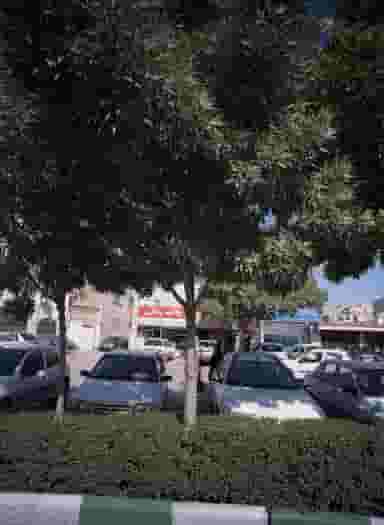 خدمات چاپ پلات رنگی در فلسطین مشهد