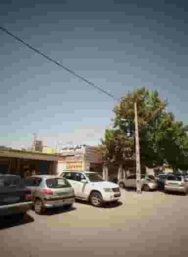 چاپ و تکثیر در فلسطین مشهد