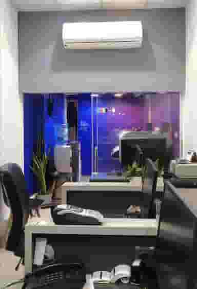 چاپ سپیا در فردوسی 