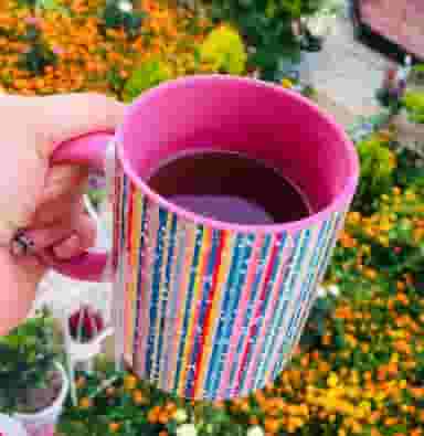 سرزمین چاپ و تبلیغات گوماتو در دروازه کازرون شیراز