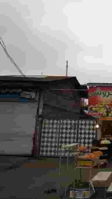 جلوبندی سازی برادران در رضی رامسر