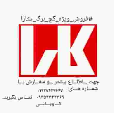 محصولات سقف کاذب چهاردانگه