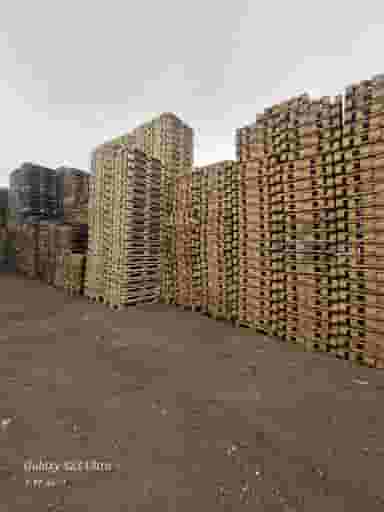 پالت گون آی چهاردانگه