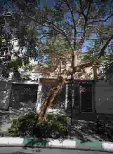 فروشگاه مبلمان سکویا در گوهرشاد مشهد