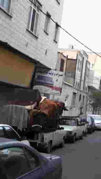 شرکت خدمات مسافرتی و گردشگری آدریان گشت پارس در رجائی شهر کرج