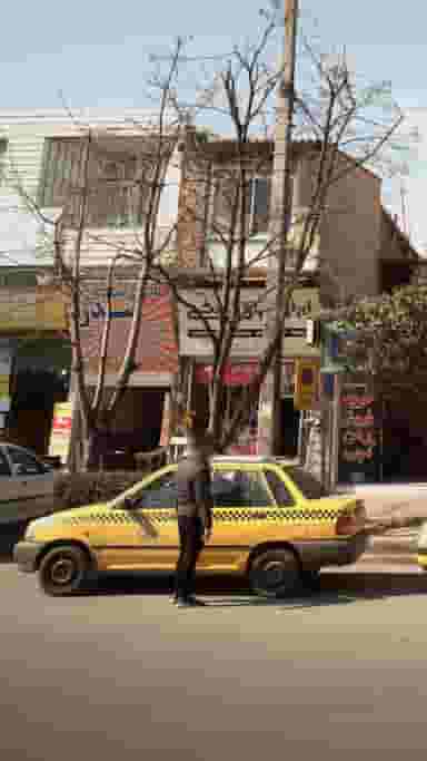 گالری مبلمان صدر در میانرود ساری