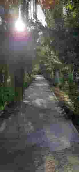 دانشگاه زنجان زنجان