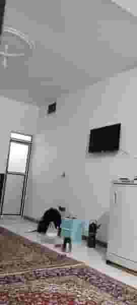 مهمانسرای تیپ ۲۱۶ مستقل شهید سرلشکر مخبری کوی نصر زنجان