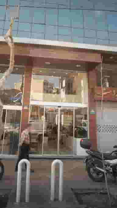 کابینت سازی در نیلوفر 