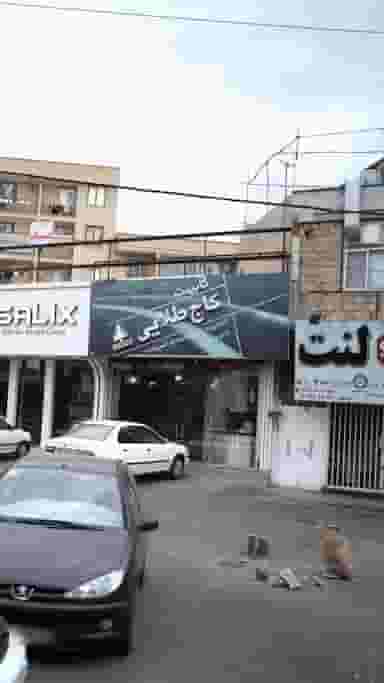 کابینت کاج طلایی در رجائی شهر کرج