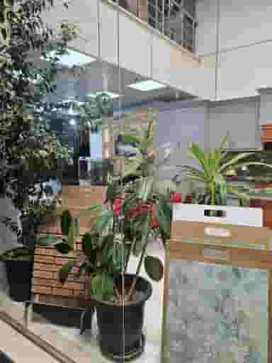 کابینت و دکوراسیون داخلی آذین در نوروزیان قزوین