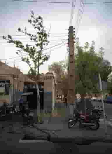 تعمیرگاه موتور سیکلت برادران در اتحاد 