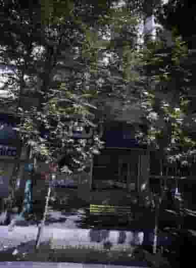 فروشگاه کالای خواب ویوانا در بهار 