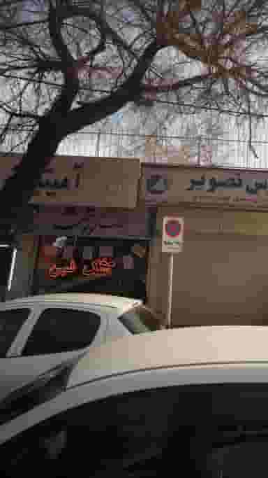 تشک کوتون در حکمت 