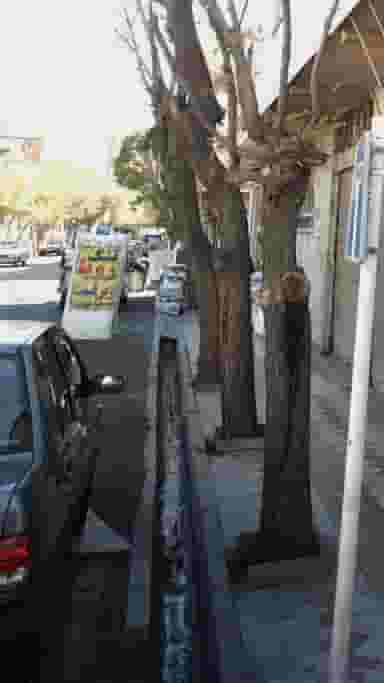 تشک رویا در علی آباد جنوبی 