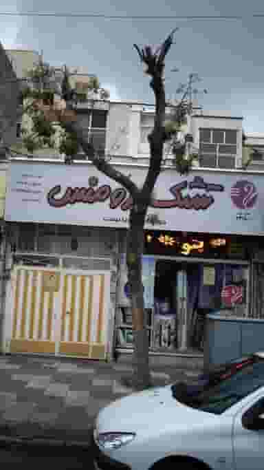 تشک رومنس در اقدسیه 