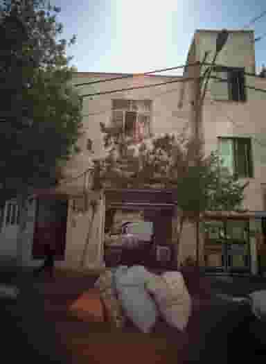 کالای خواب خلیج در خلیج فارس جنوبی 