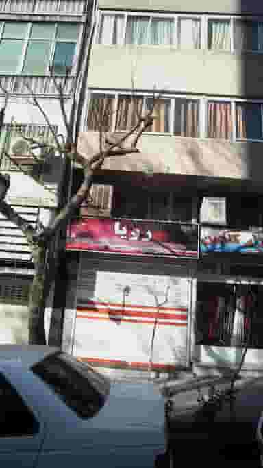 رویا در جهاد 