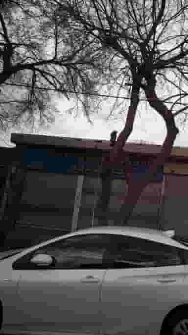 کالای خواب رویال در شمیران نو 