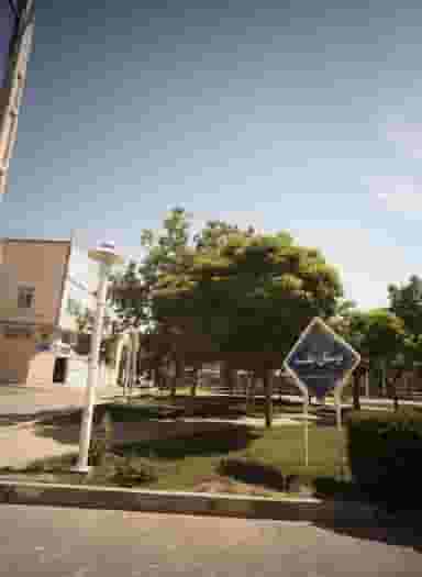 بوستان بنفشه در محمد آباد مشهد